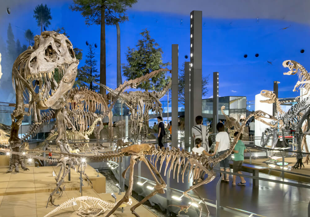 福井県立恐竜博物館