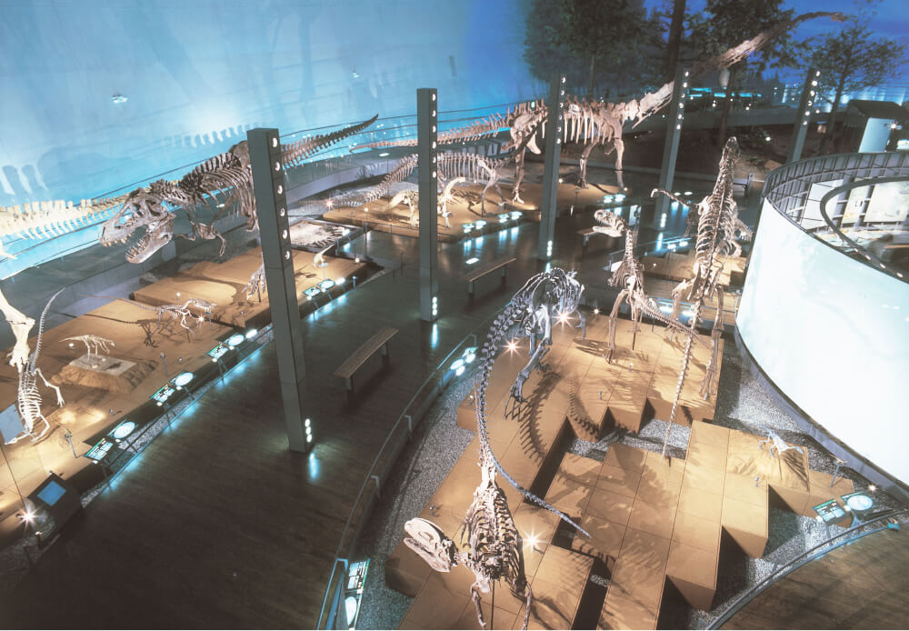 福井県立恐竜博物館