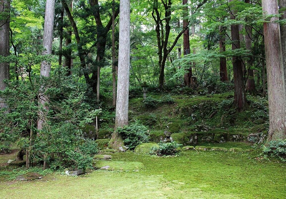 平泉寺白山神社　旧玄成院庭園