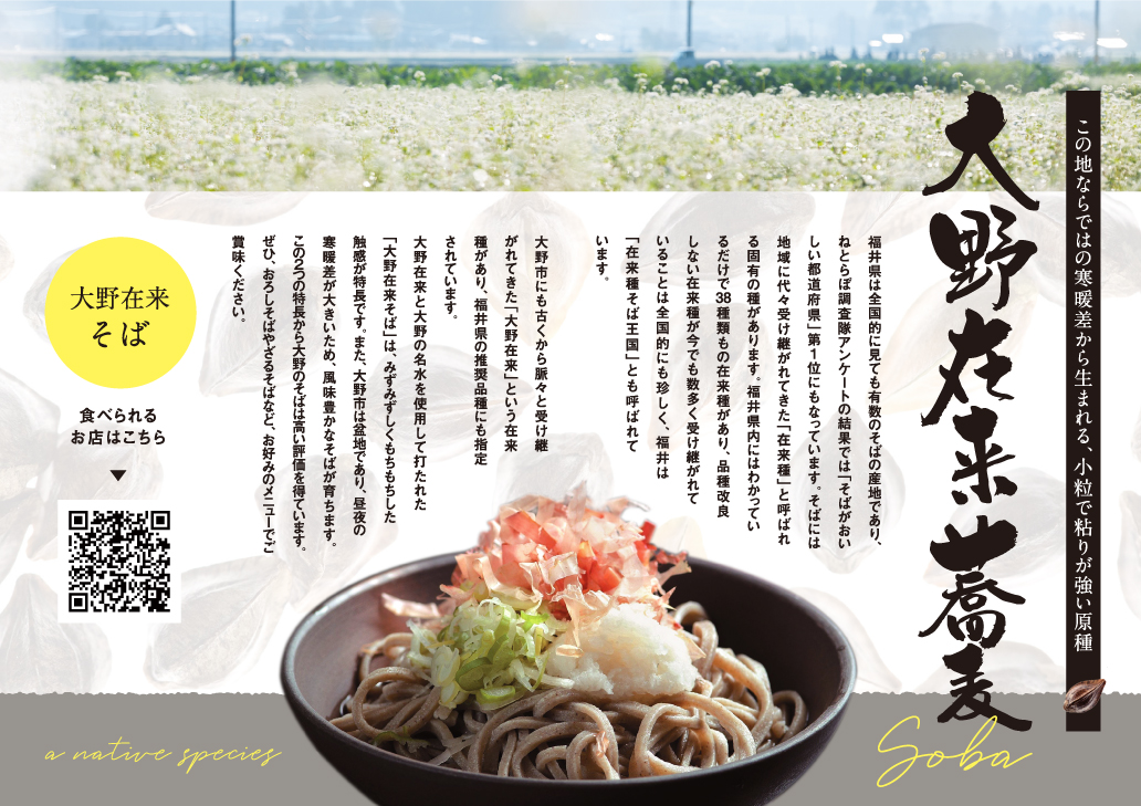 越前おろしそば